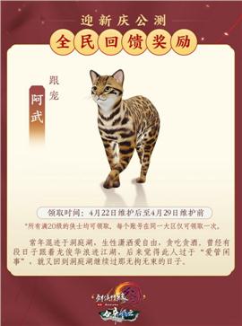 红莲天龙八部私服